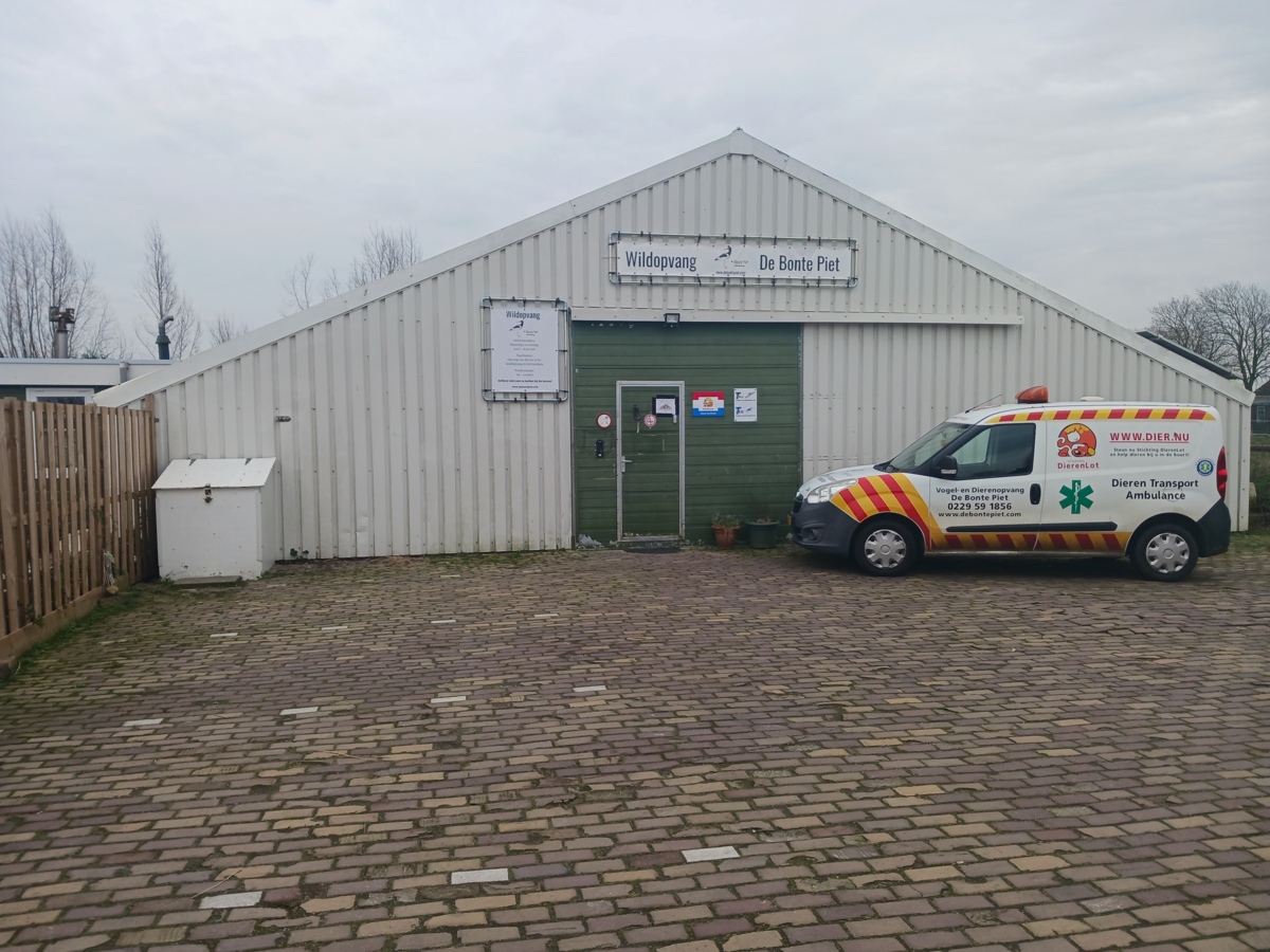 De_Bonte_Piet_1.jpg