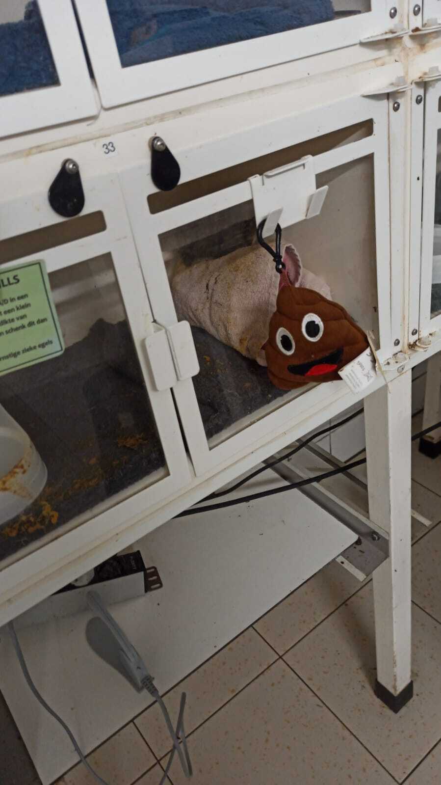 hok_mestonderzoek.jpg