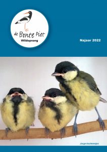 magazine najaar 22